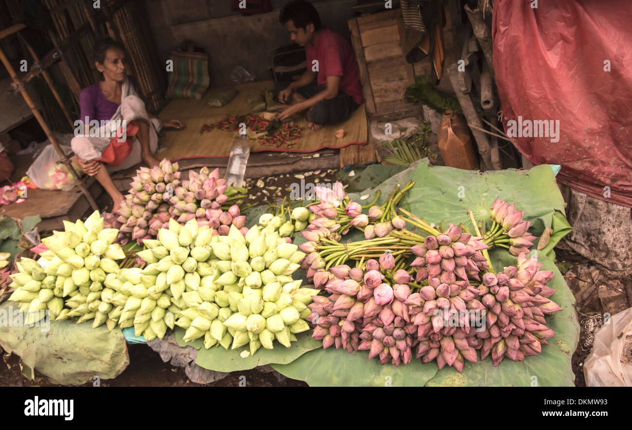 Lotus flower market hires stock photography and images Alamy