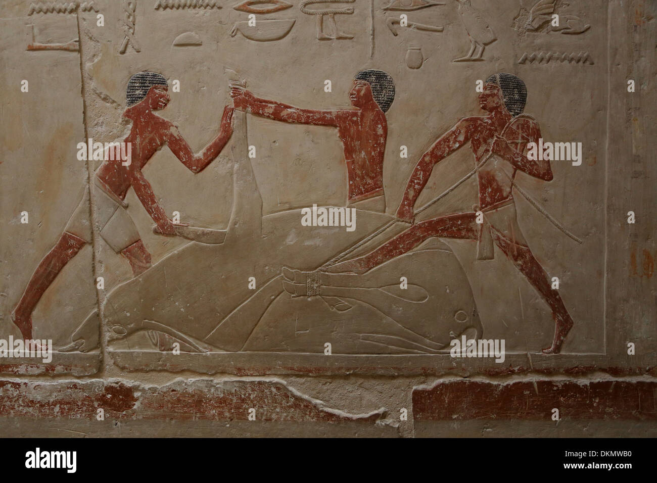 Butchers of ancient Egypt @ Saqqara - Tomb of Edut Stock Photo