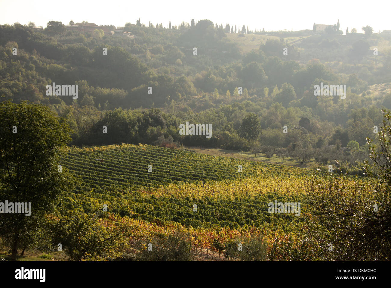 Tuscany hills in Chianti near Gambassi Terme Stock Photo