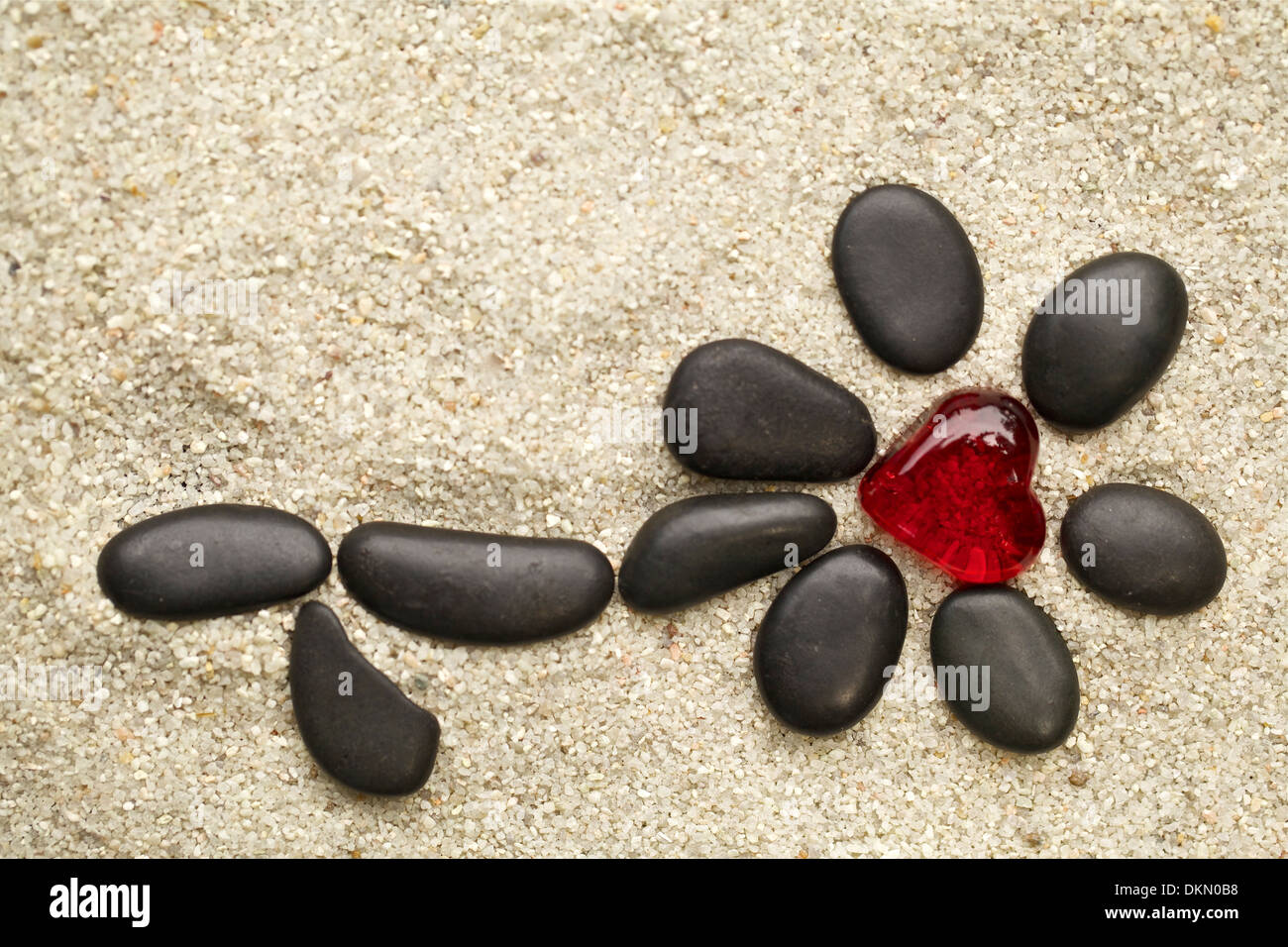 Flower in the sand,composition of black pebbles and red heart Stock Photo