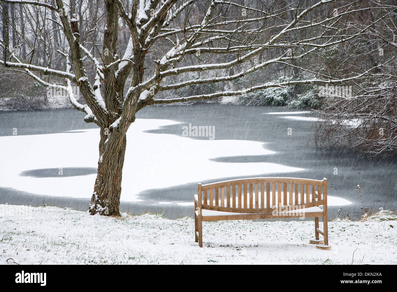 Fresh Snow At Dusk Creates Patterns On A Frozen Pond And A Bench