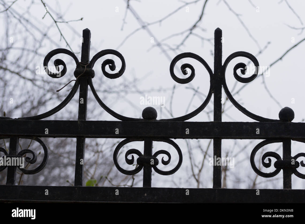 Frost on railheads of a decorative wrought iron fence Stock Photo - Alamy