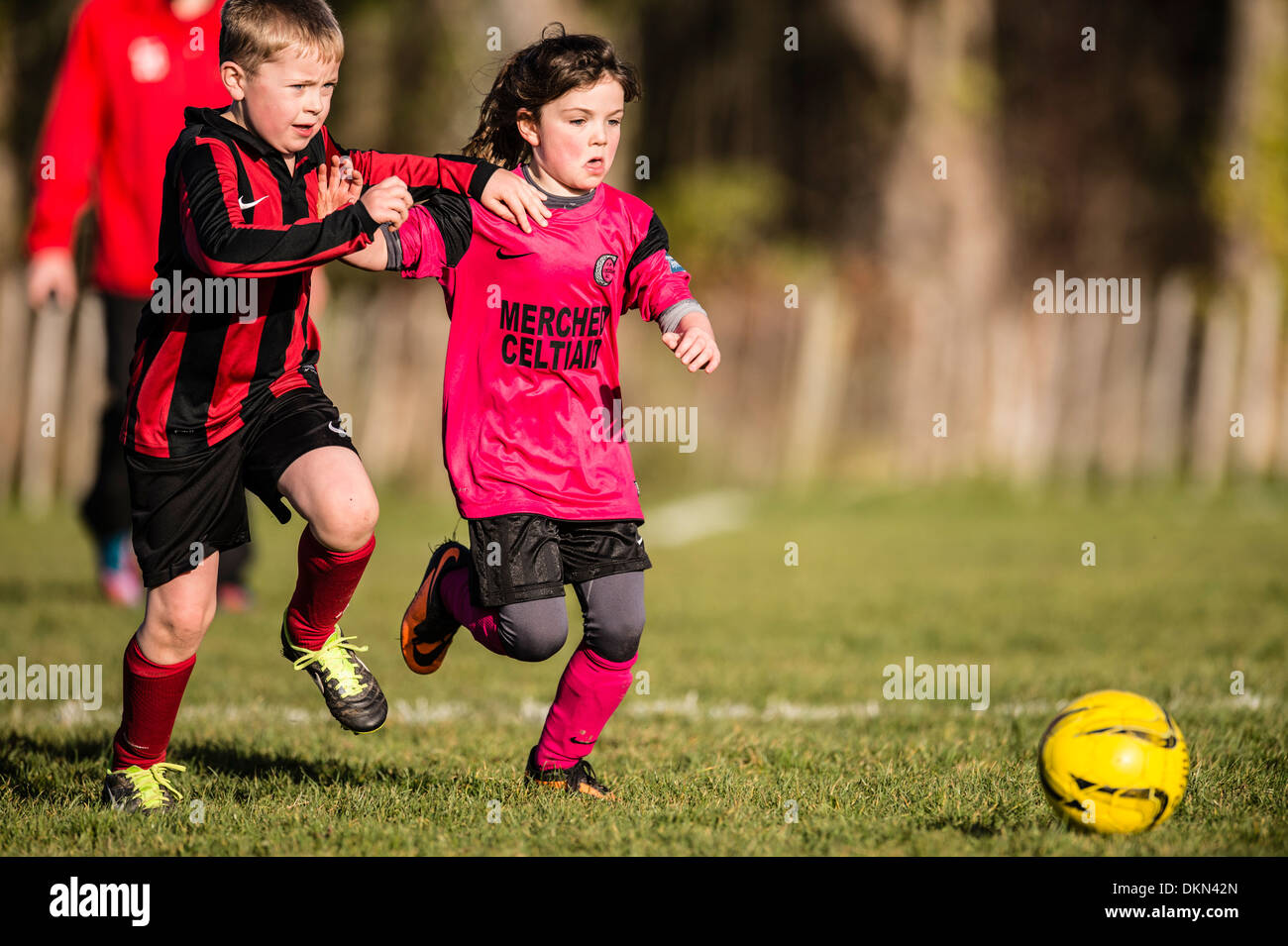 Primary school aged Boys and girls playing competitive football soccer