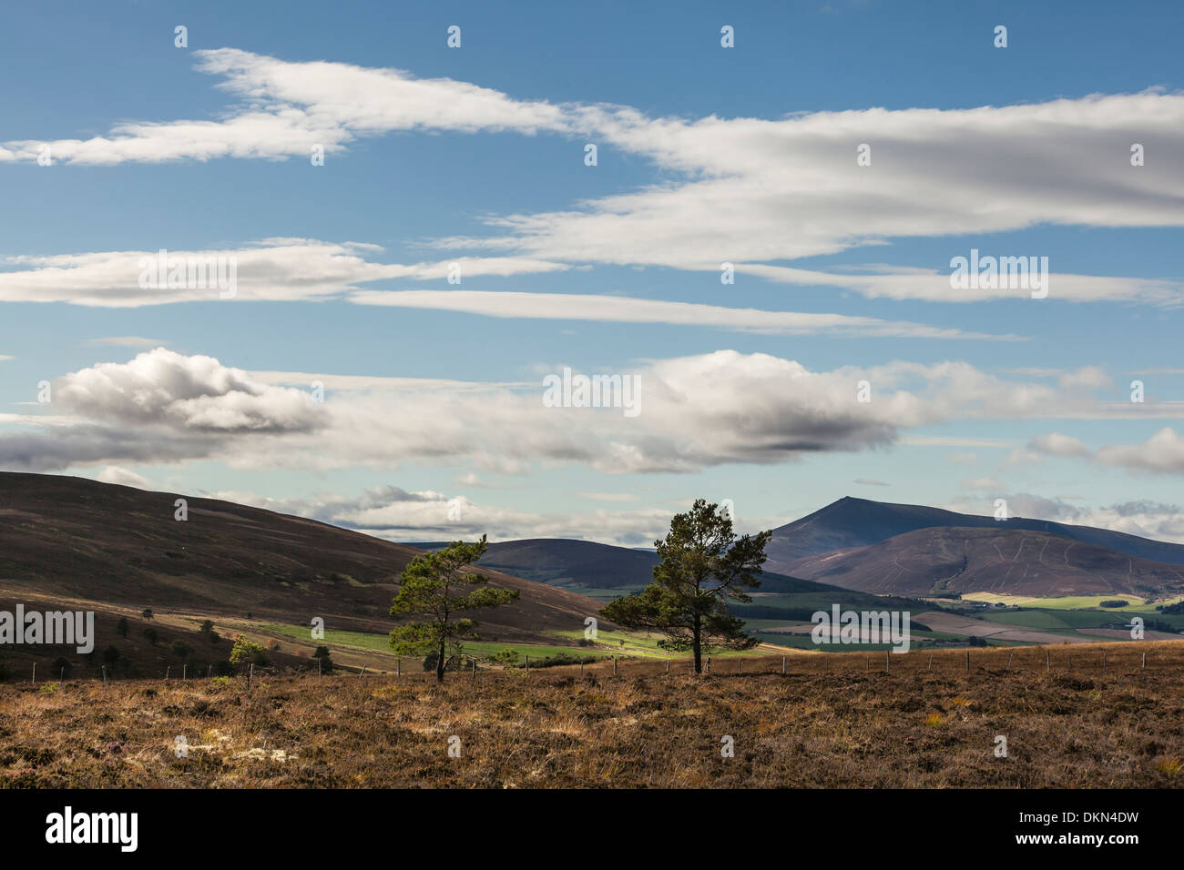 Ben rinnes mountains trees hi-res stock photography and images - Alamy