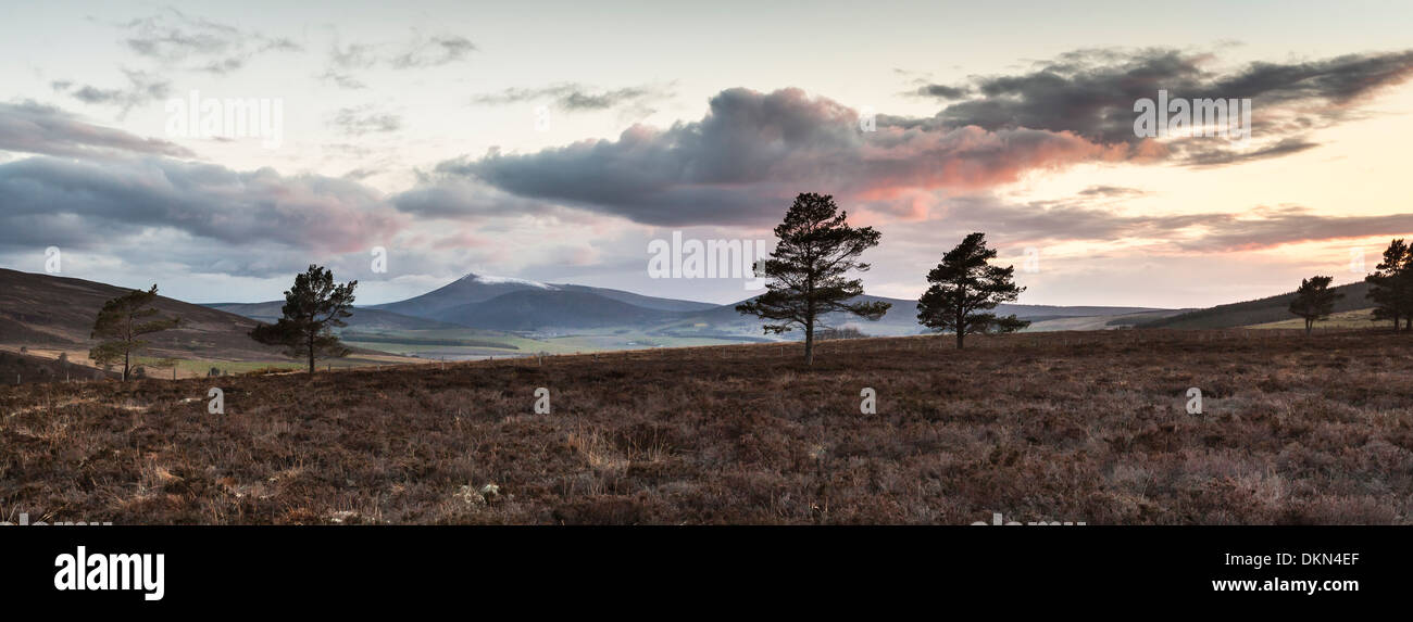 Ben rinnes mountains trees hi-res stock photography and images - Alamy