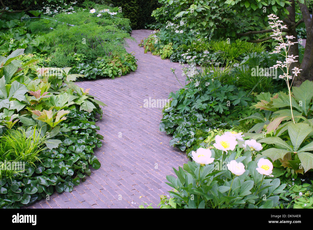Stone paving in between green plants in a garden Stock Photo Alamy
