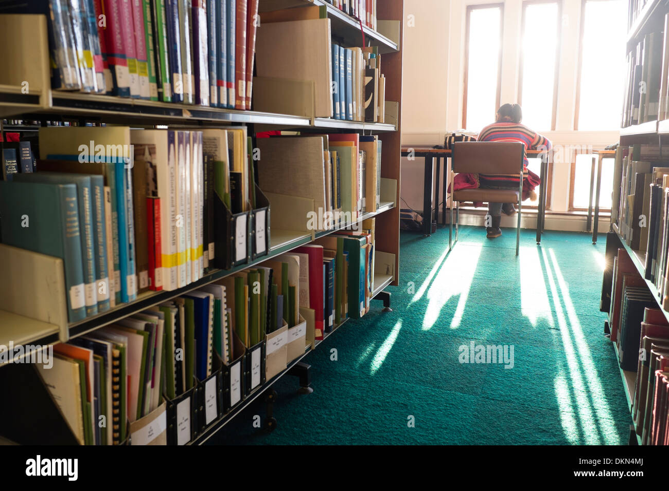 Rear view of a student sitting at a desk studying in the library