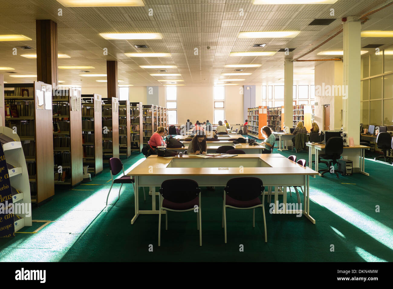 Students studying in the library, Llanbadarn campus, Aberystwyth
