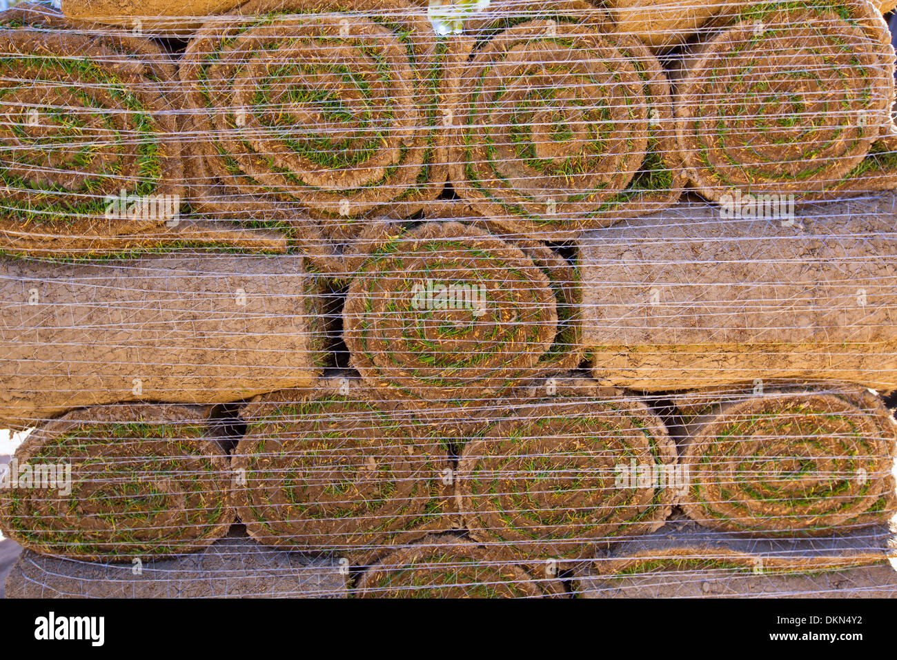 Natural grass turf lawn in rolls stacked in rows Stock Photo Alamy