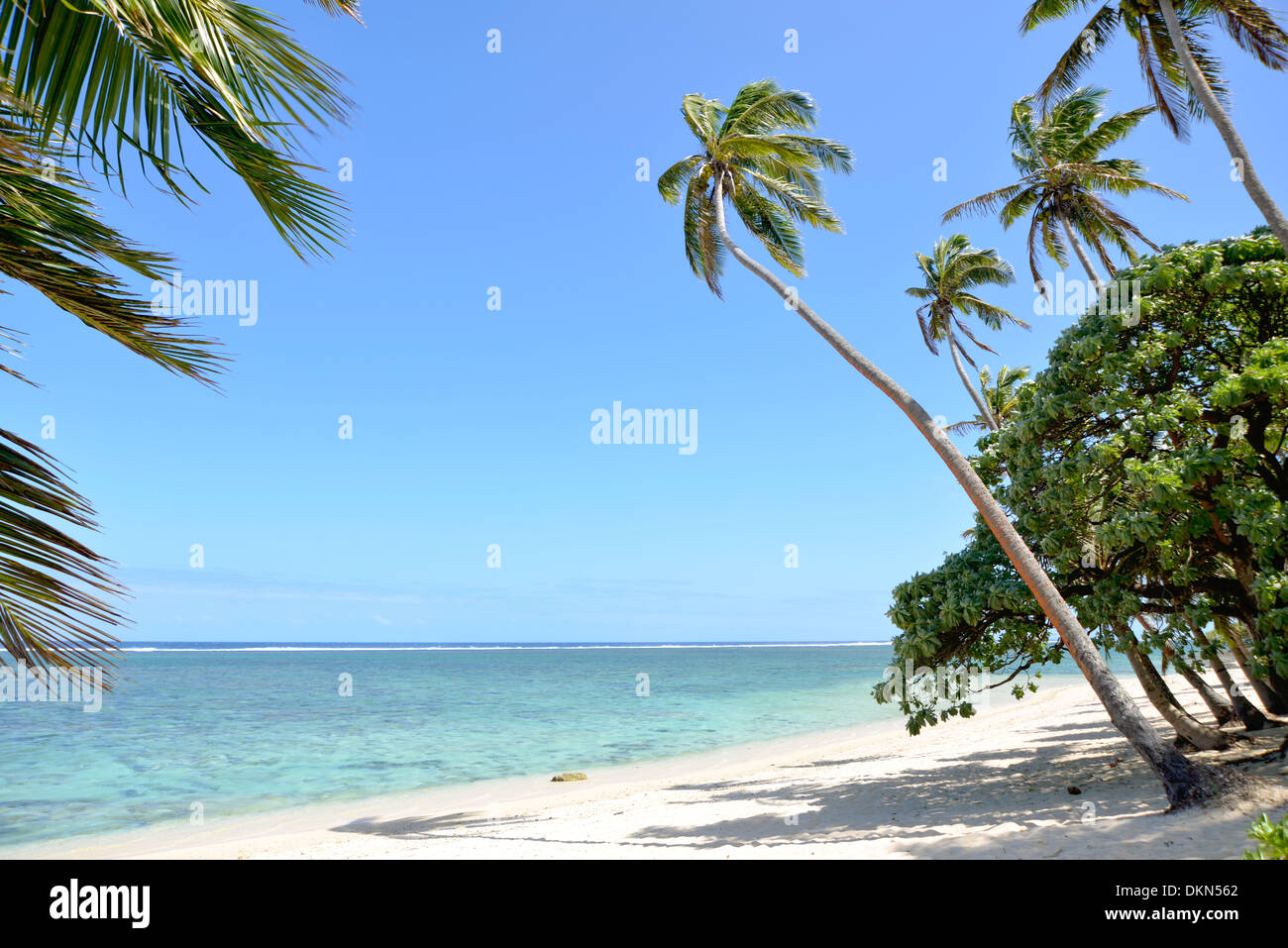 A deserted, white sand beach with overhanging palm trees along the ...