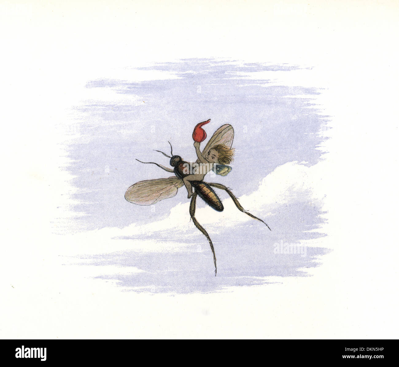 An elf flying away on an insect. Stock Photo