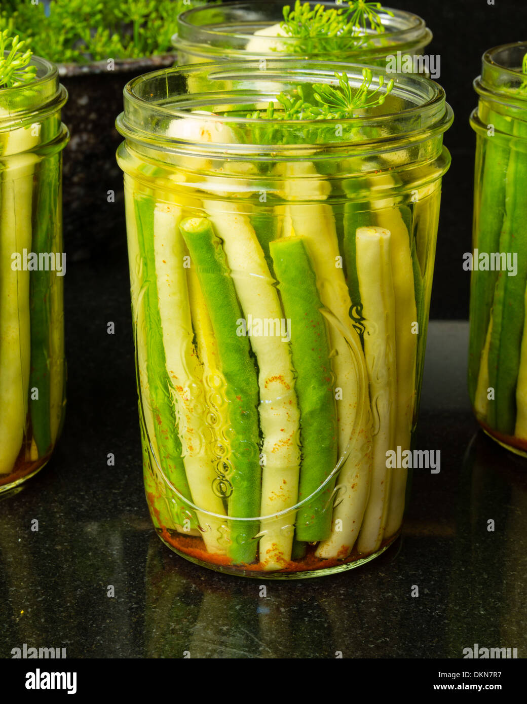 Fresh green and yellow beans being processed into jars for preserving