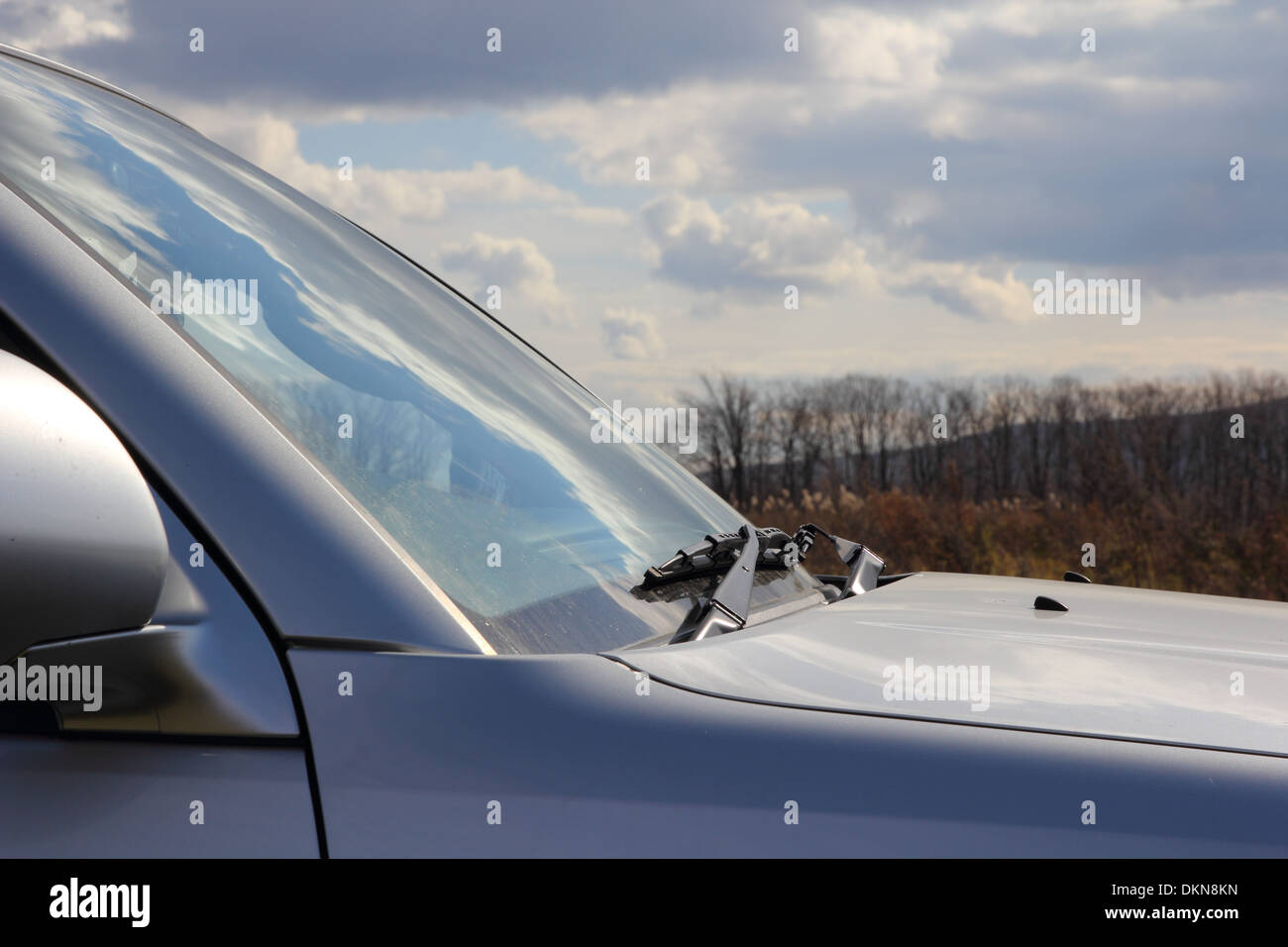 Windshield Of The Car