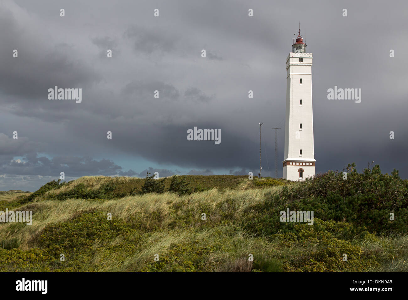 Lighthouse Blavand, Denmark, Europe Stock Photo