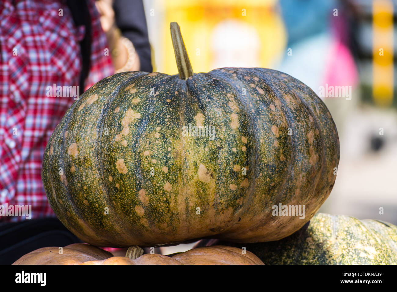 Market Stall Pumpkins in Baskets Closeup Stock Photo - Alamy