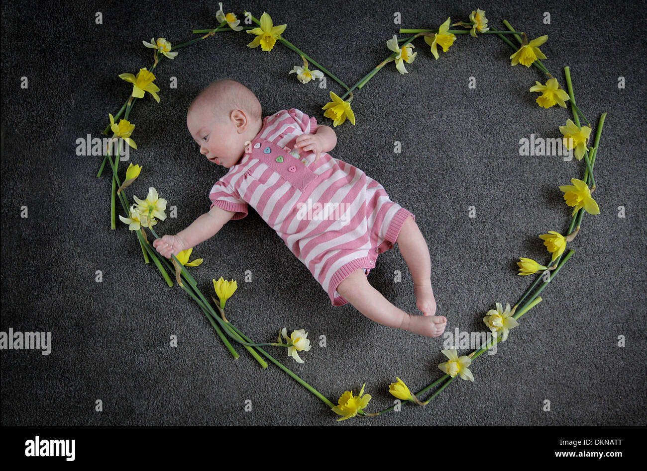 Baby lay in daffodils in spring Stock Photo