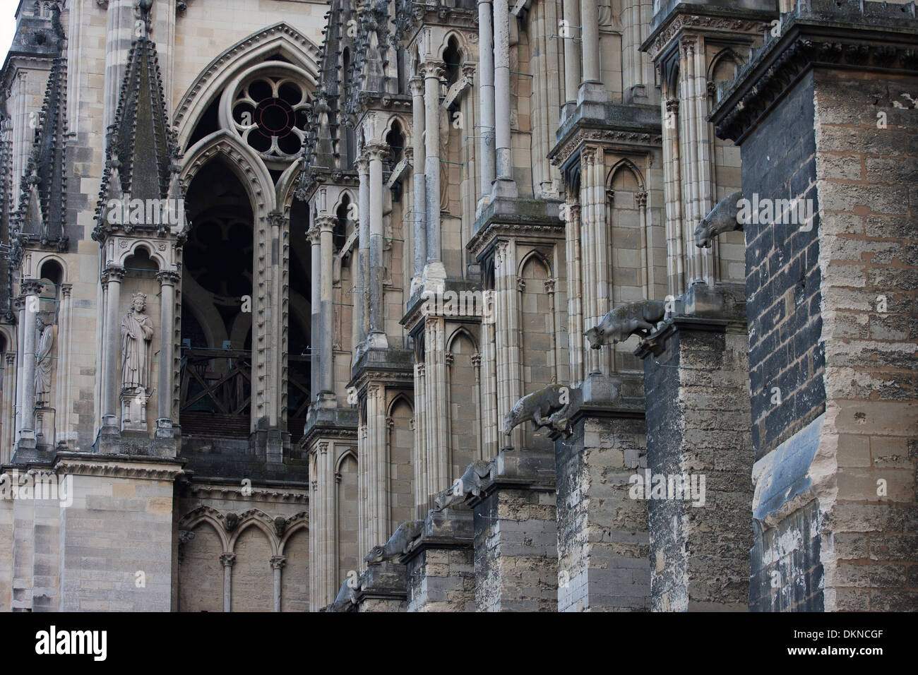 Side wall of the NotreDame Cathedral Stock Photo Alamy