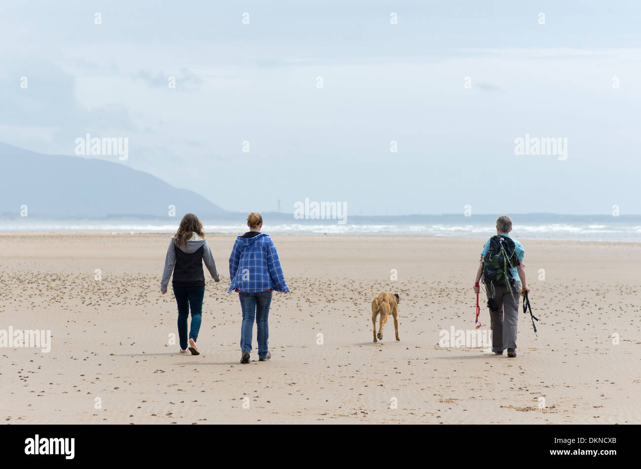 3 women walking a dog on the beach at Drigg, Cumbria, England Stock Photo