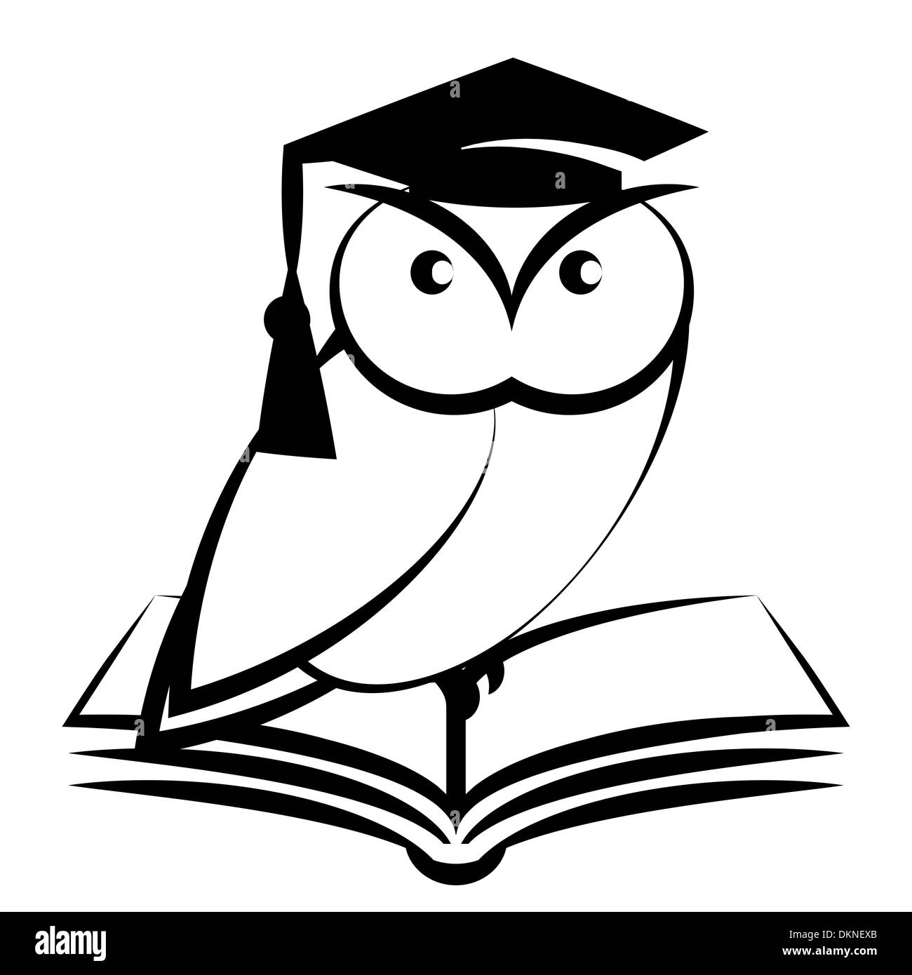 Owl with college hat and book - symbol of wisdom isolated on white background Stock Photo