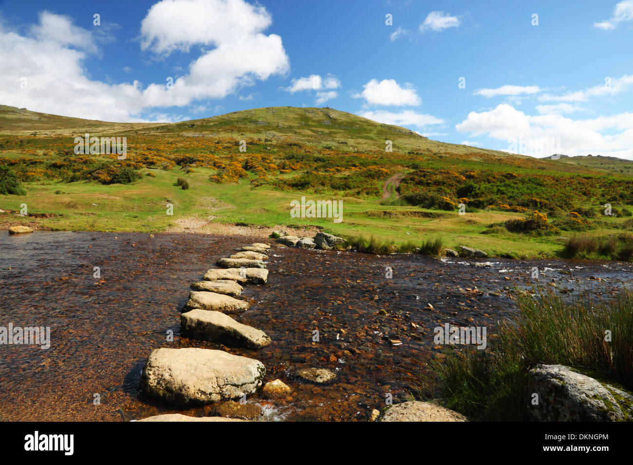 Stepping stones across a moorland stream with a view of Dartmoor in the background. Stock Photo