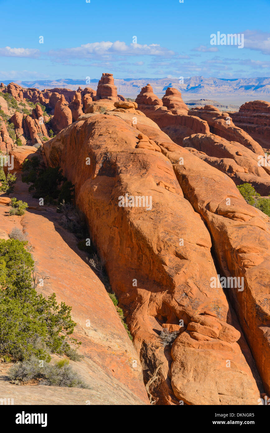 Fins, Rock formations, Devils Garden, Arches National Park, Utah, USA Stock Photo