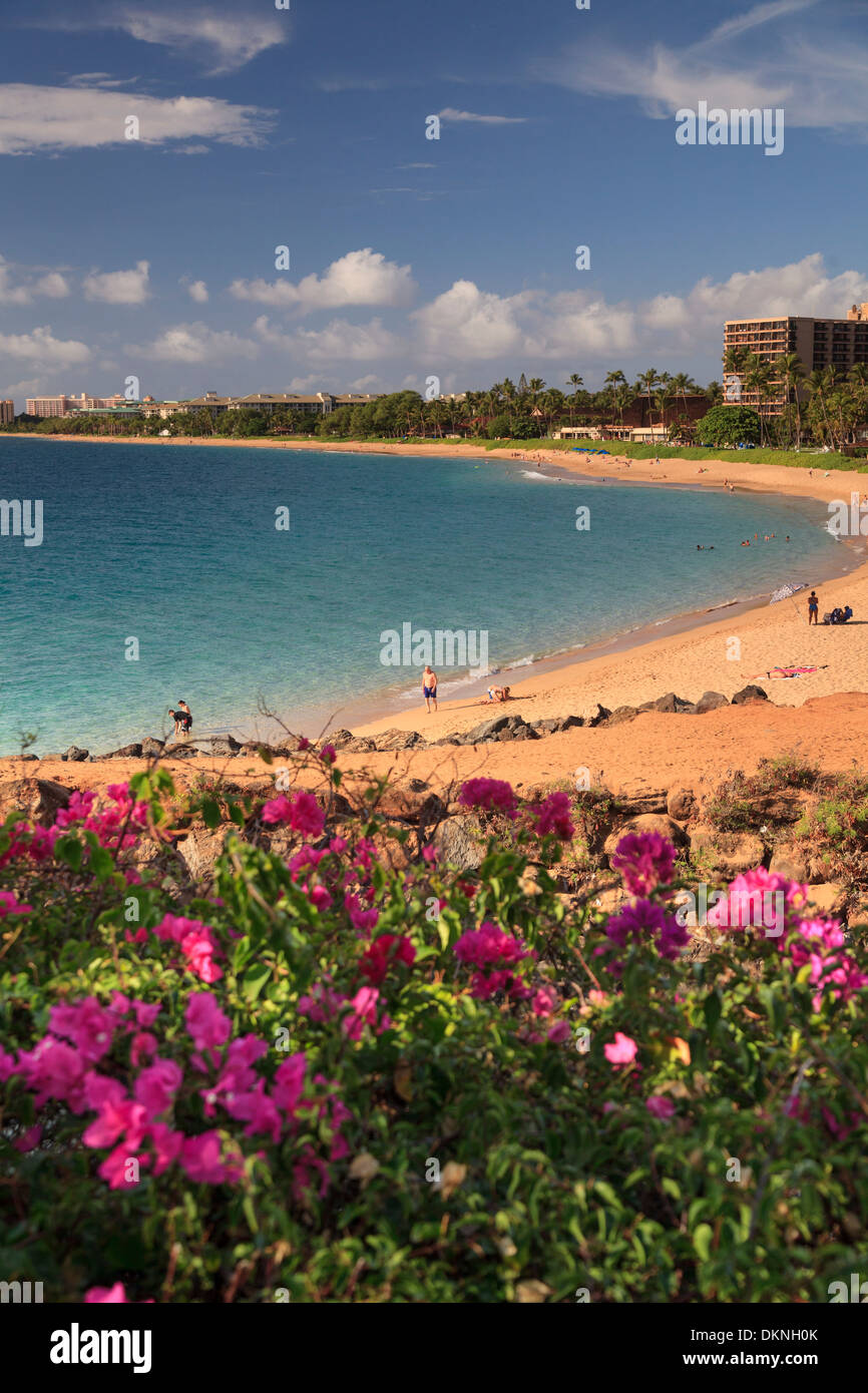 Kaanapali beach maui hi-res stock photography and images - Alamy