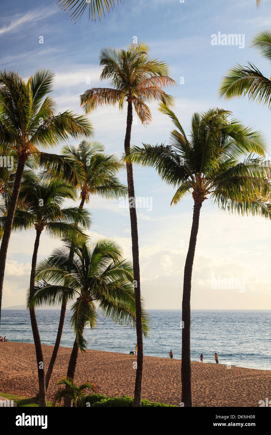 Ka’anapali beach resort hi-res stock photography and images - Alamy