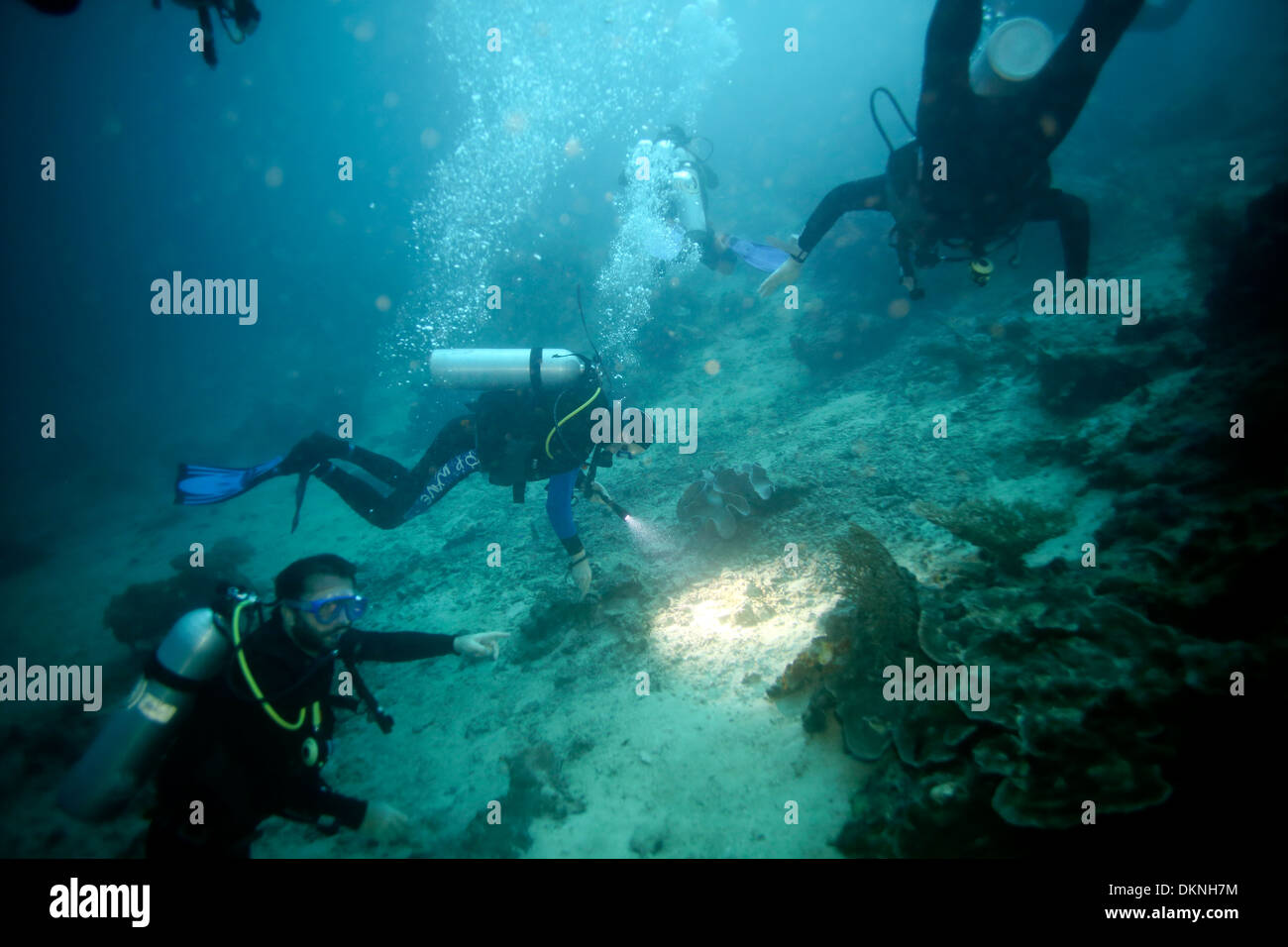 Scuba divers exploring coral reef in the Raja Ampat Islands, West Papua Stock Photo