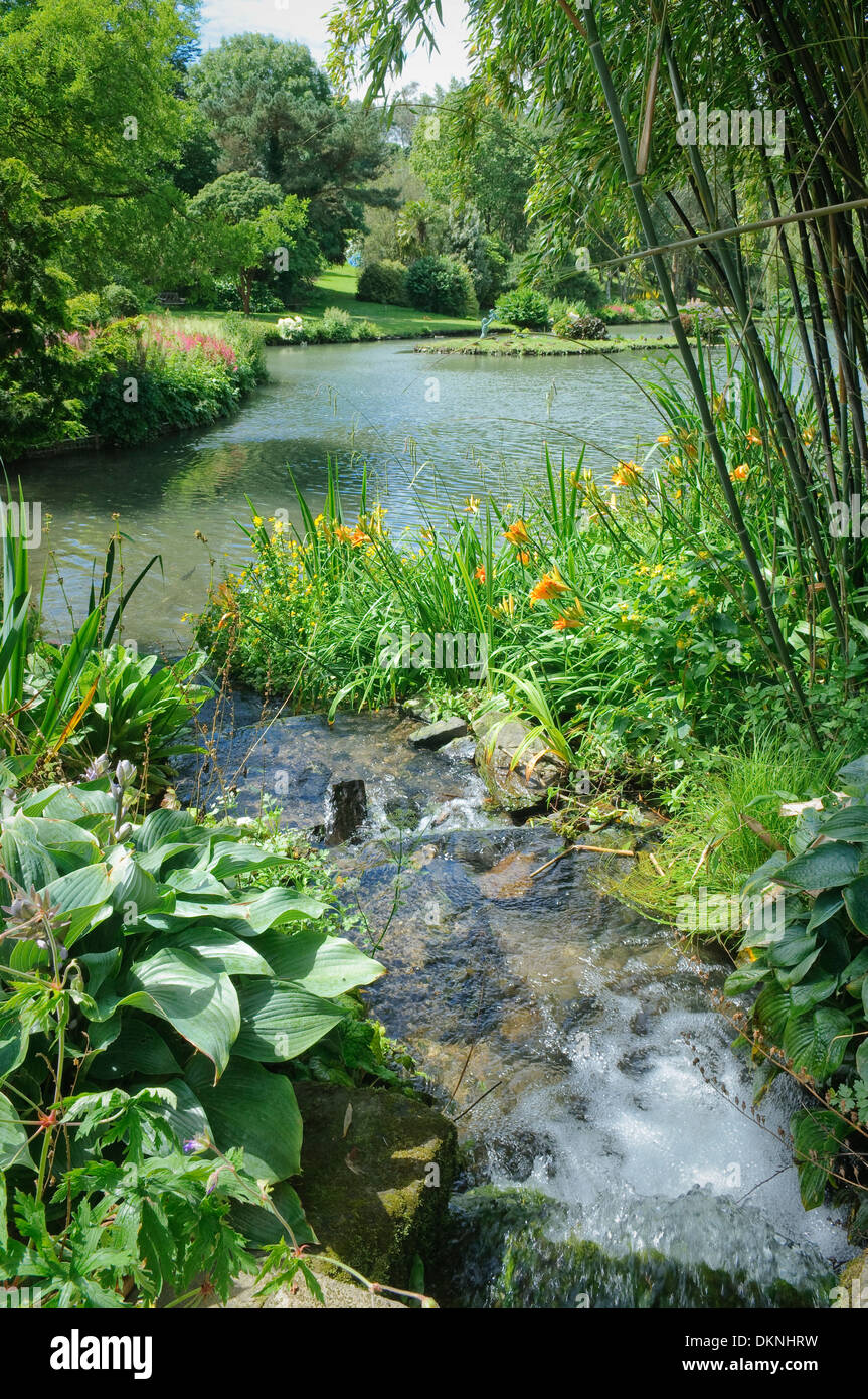 Garden stream and pond at Marwood Hill Gardens, Devon, UK. Stock Photo