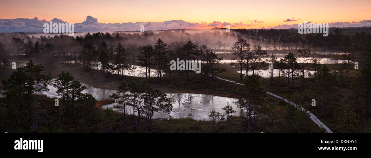 Misty marsh landscape at sunrise in the morning Stock Photo