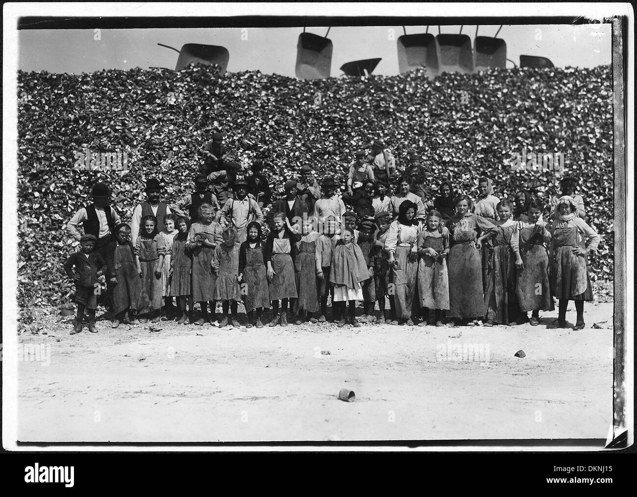 All these shuck oysters in the Dunbar Cannery. They begin work about 3