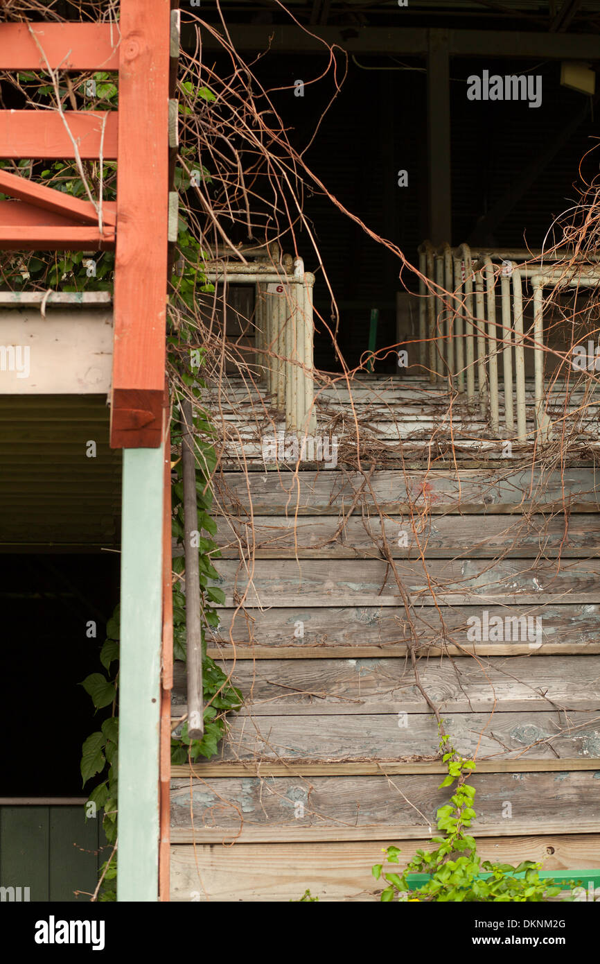 Stairway to the stands of an abandoned horse track at old fairgrounds in Great Barrington, Massachusetts Stock Photo
