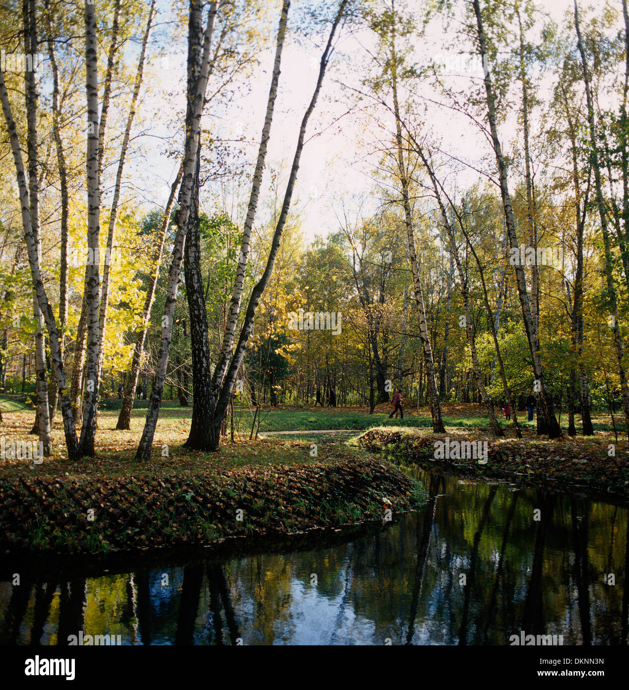 Sokolniki Park High Resolution Stock Photography and Images - Alamy