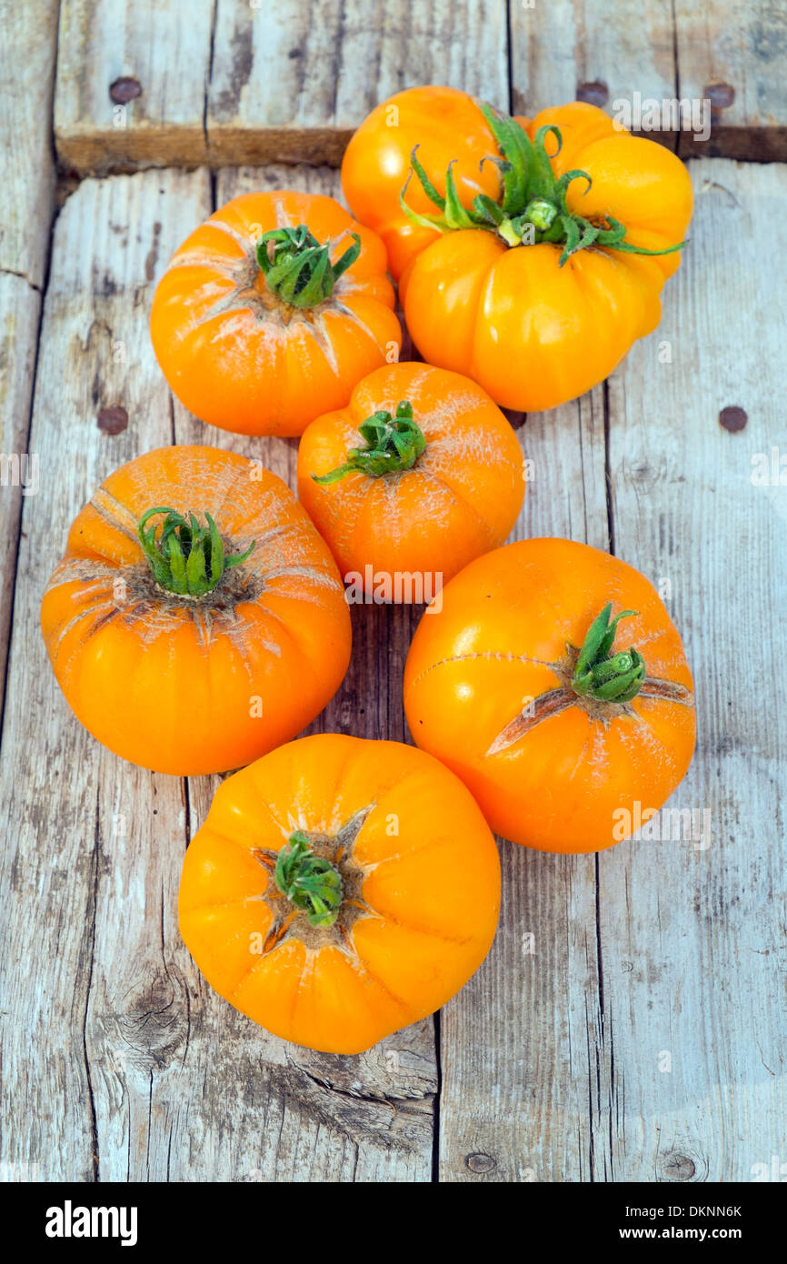 Heritage tomatoes, 'summer cider', ripe fruits ready for the kitchen. Stock Photo