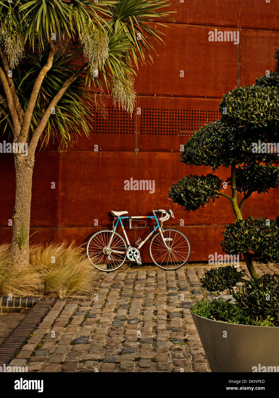 Racing bicycle against a wall in tropical garden design Stock Photo