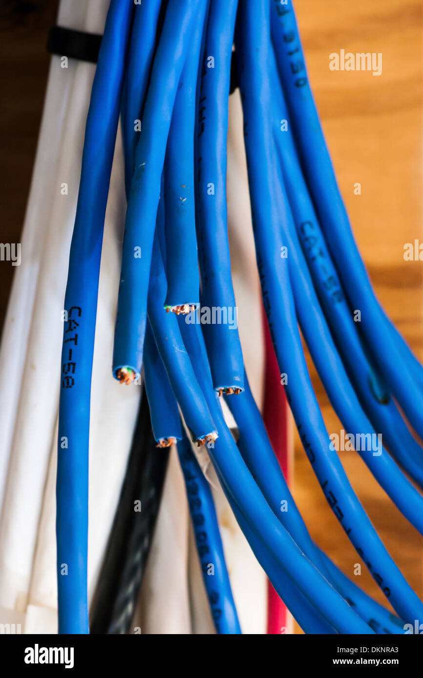 Group of networking cables, cut and ready for installation. Stock Photo