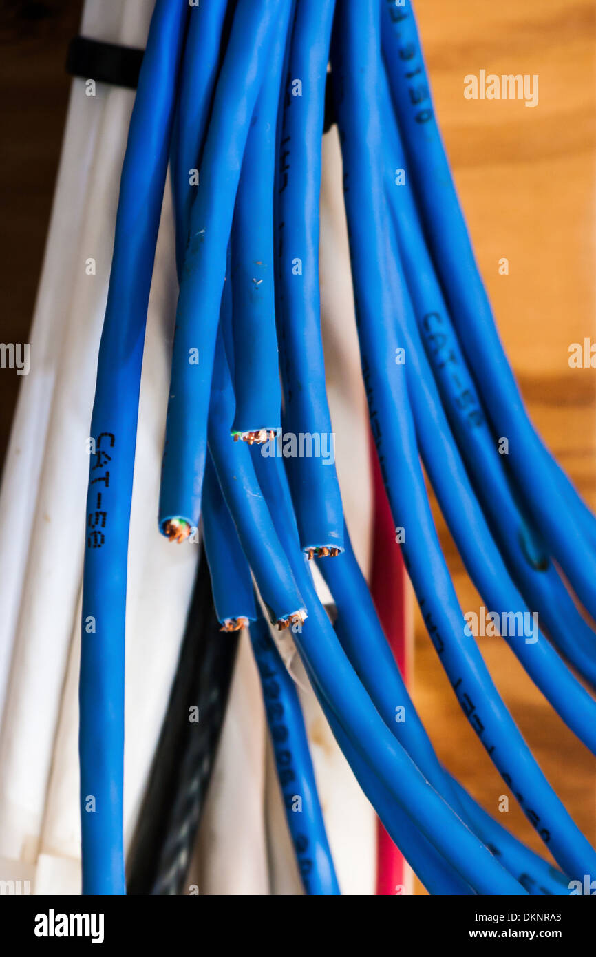 Group of networking cables, cut and ready for installation Stock Photo