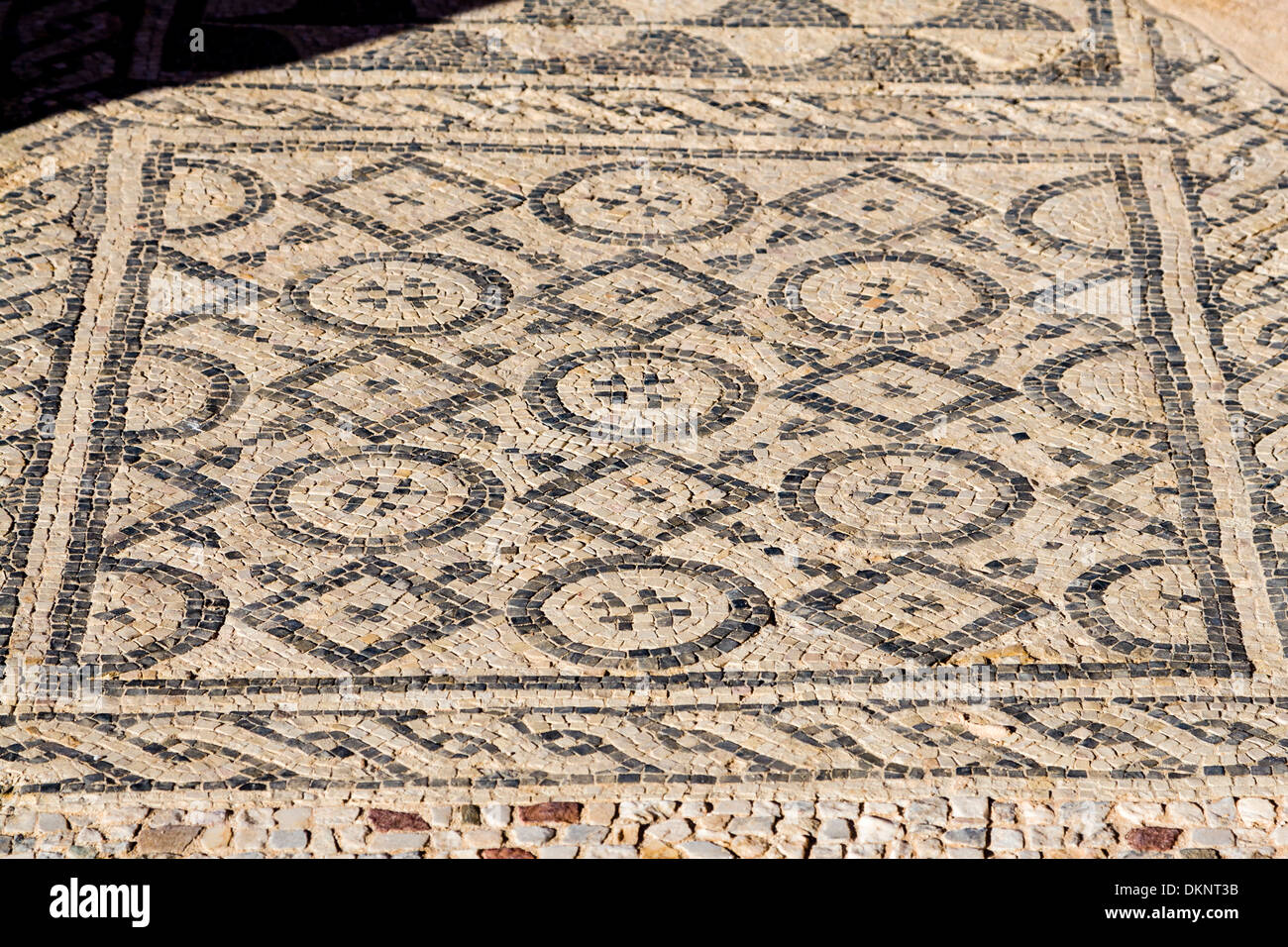 Libya, Sabratha. Roman Baths of Oceanus Mosaic. Stock Photo
