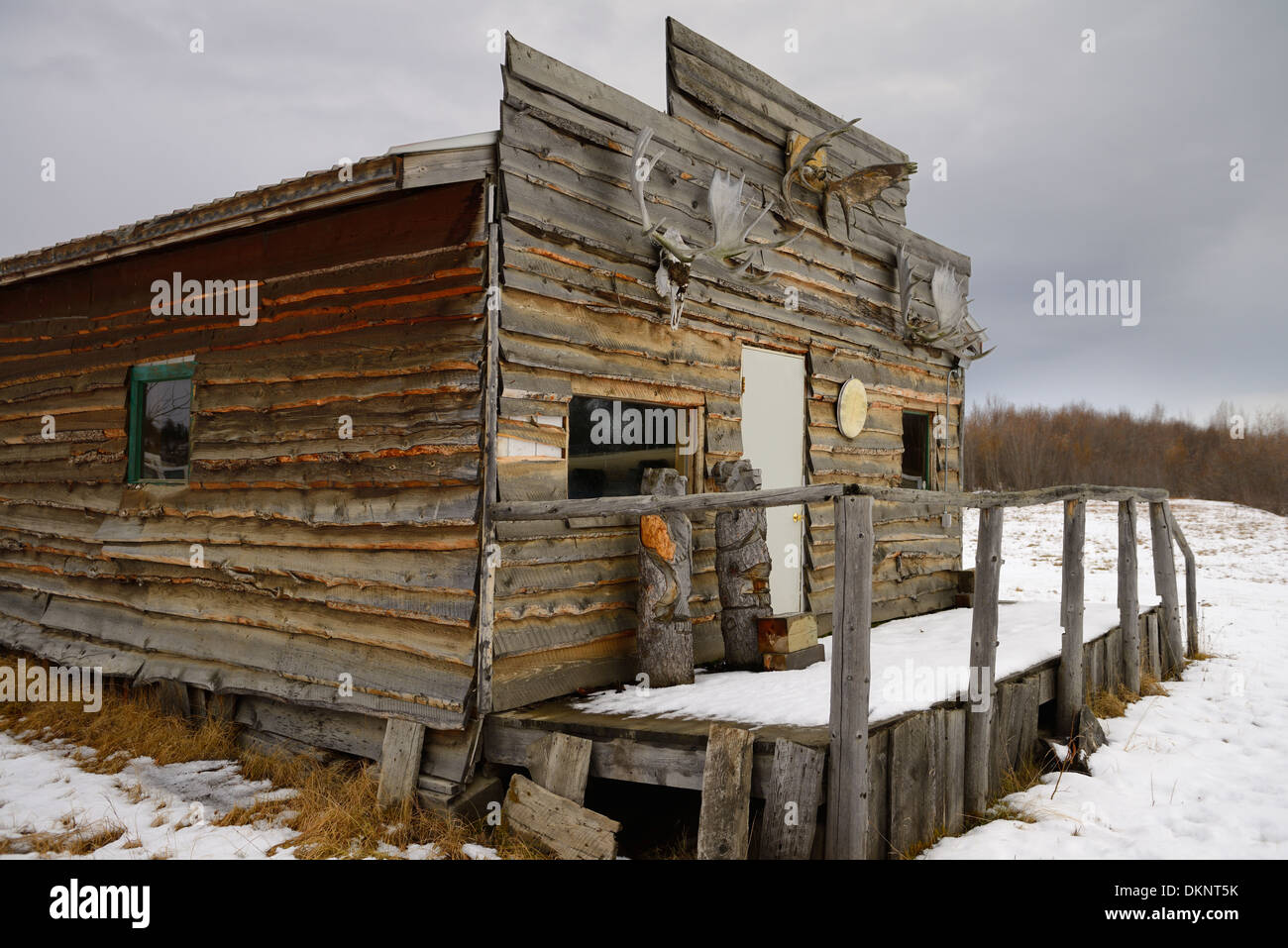 Wood cabin with moose antlers at Coldfoot Alaska USA on the Dalton