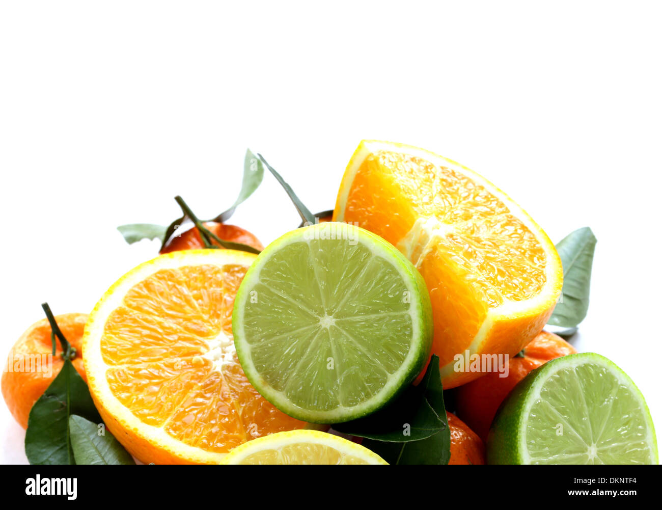 different types of citrus fruits (orange, lime, lemon, tangerine Stock
