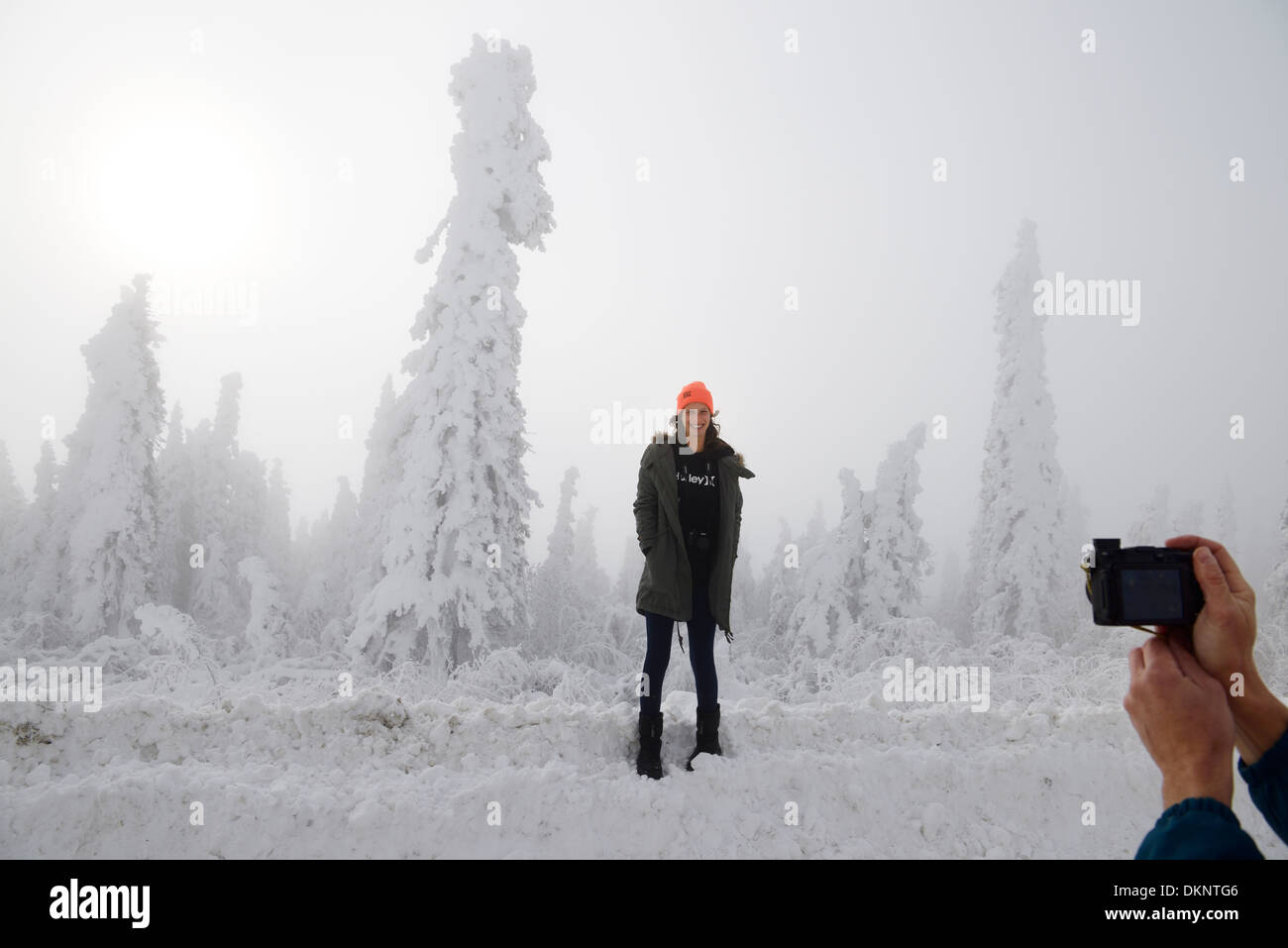 Young woman on a snowbank being photographed with snow covered trees in morning mist on the Dalton Highway Alaska USA Stock Photo