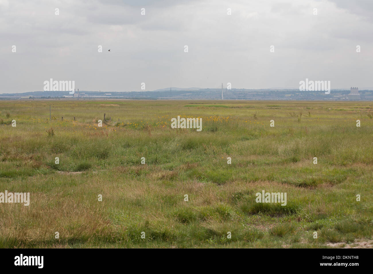 Salt Marsh near the site of Denhall Quay at Little Neston between Ness