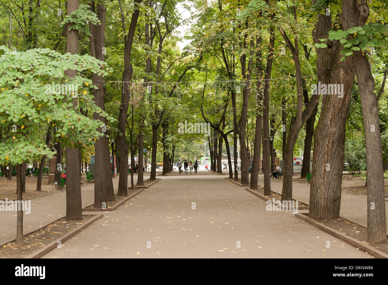 Parcul Stefan cel Mare (Stephen the Great Park) in Chisinau, the