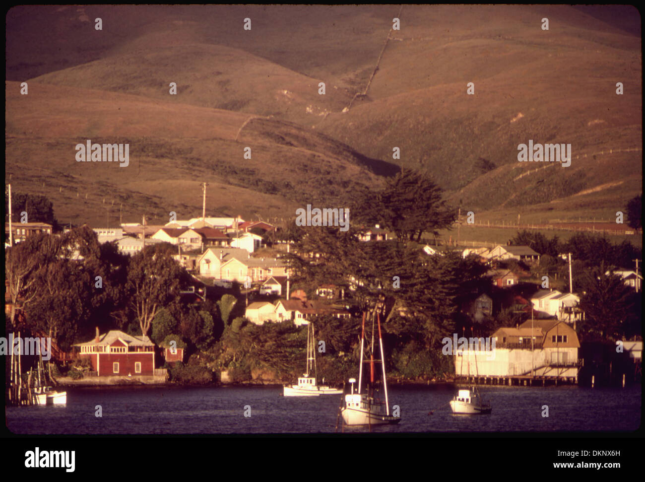 THE HILLS OVERLOOKING BODEGA BAY ARE SLATED FOR HOUSING DEVELOPMENT