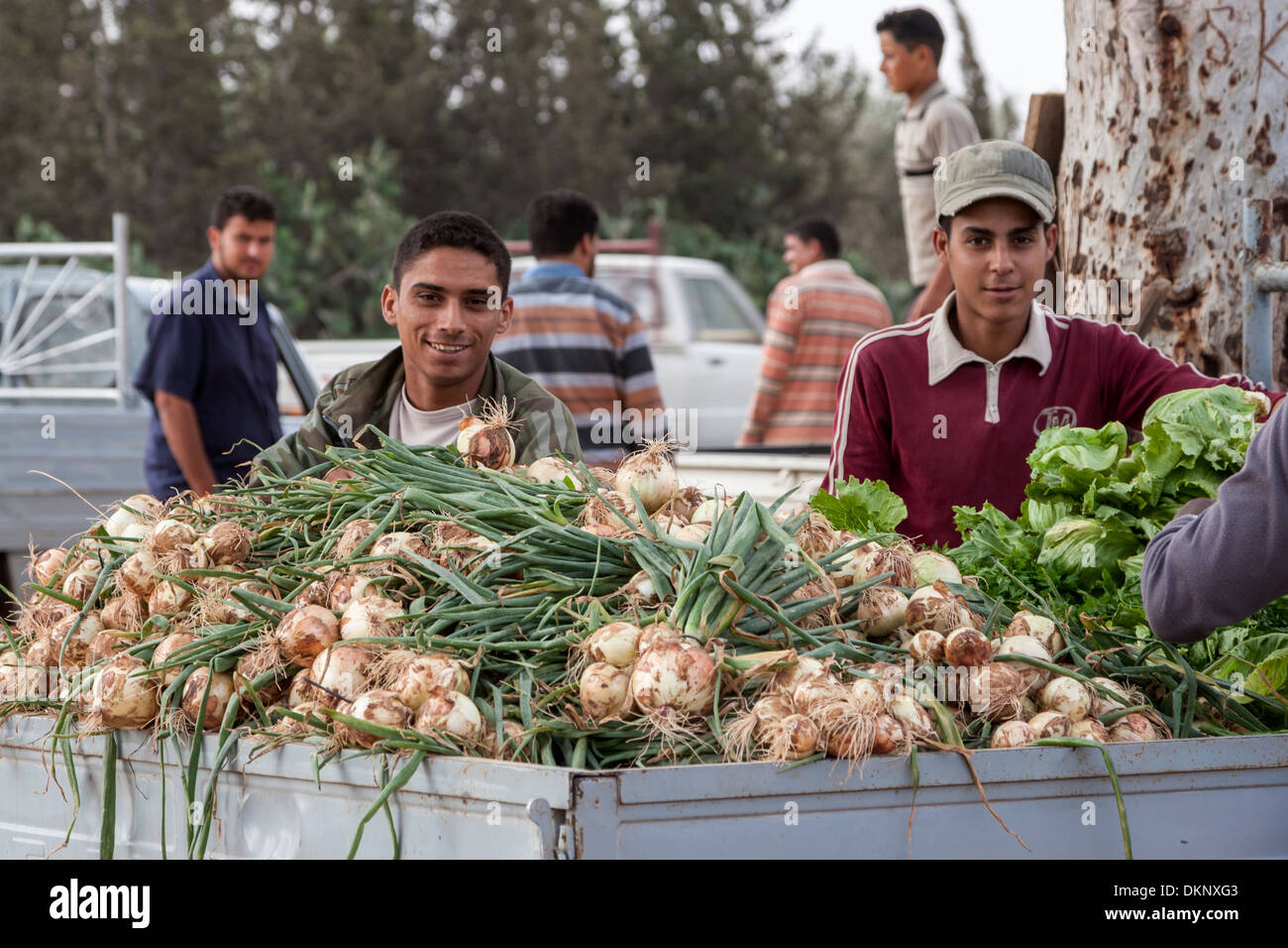 Live onion market