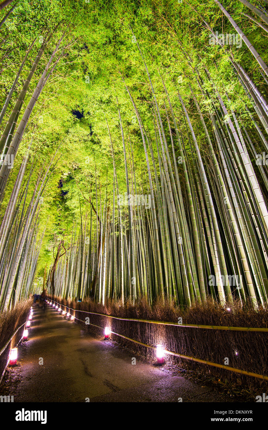 Bamboo forest of Kyoto, Japan. Stock Photo