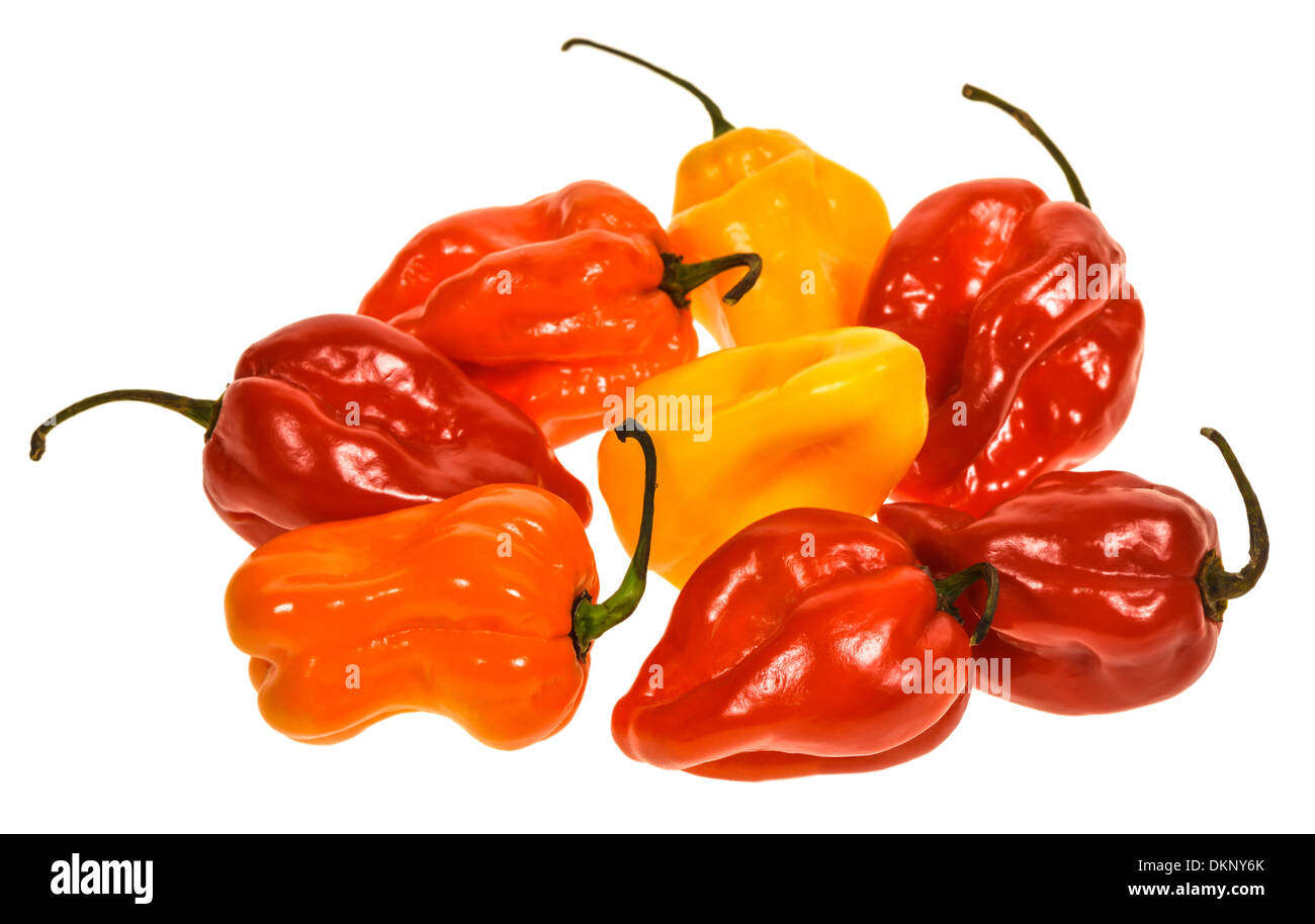 Cayenne pepper or chilli. hot pepper. Capsicum annuum Stock Photo