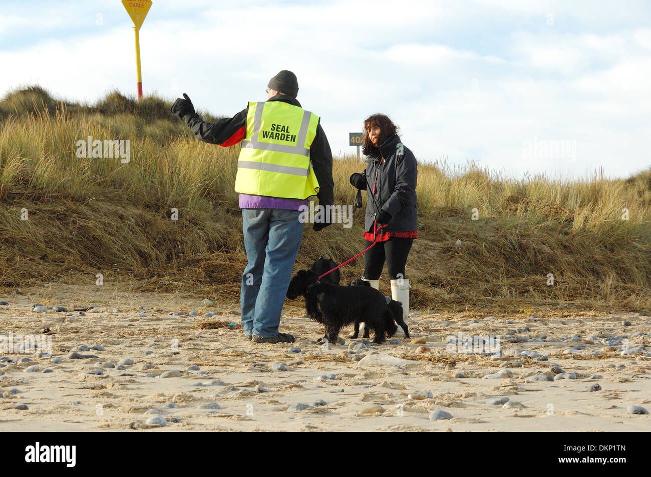 What Can A Dog Warden Do