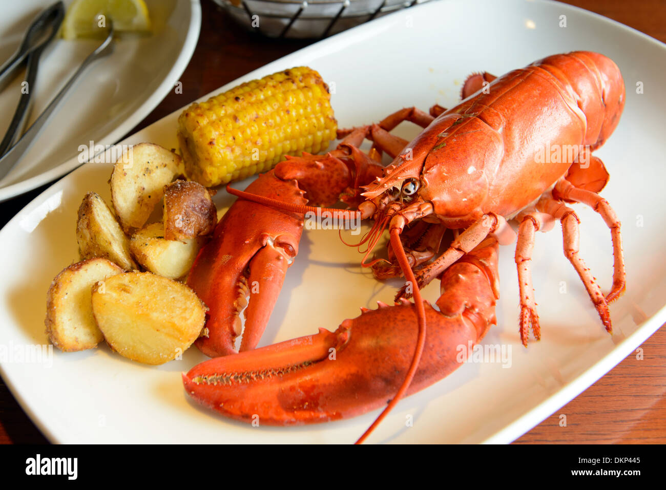 Roasted live marine red lobster served on plate Stock Photo