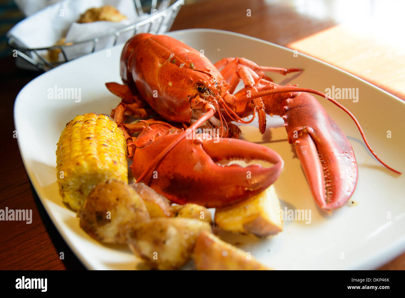 Roasted live marine red lobster served on plate Stock Photo